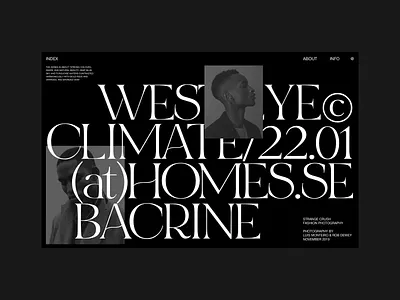 WEST EYE EXHIBITION—DARK clean design grid header layout minimal typography web website whitespace