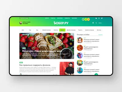 bbr5 bootstrap 4 design portfolio tv web