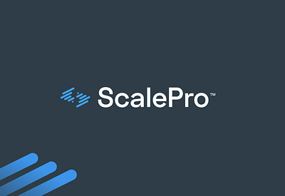 ScalePro Brand Identity blue brand brand design brand identity branding contemporary design logo logo design modern scale tech
