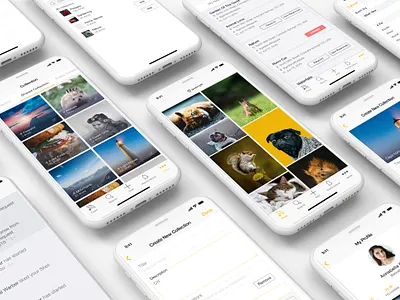 Mobile Application creative design design inspiration icon landing page minimal design mobile app design mobile application mobile design mobile ui photography photography app social app ui ui ux design ui design ux visual design