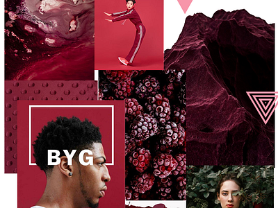 WTZ - September 2019 trend 🤫 animation basket branding campaing colored creative design identity illustration inspiration raspberry red trend typography