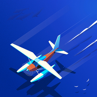 Sea Plane affinity digital folioart illustration isometric ocean peter greenwood plane sea shadow vector