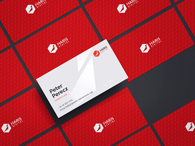 Haris Digital business business card design digital engineering graphic haris laquer logo logodesign minmal print tech