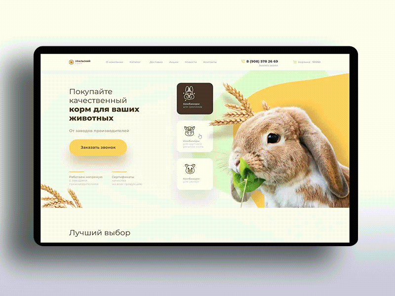 Pet food concept animal animals animation corporate icons interaction orange ui ux web zoo