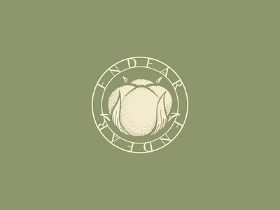 Endear Co. branding handdrawn illustration logo typography vintage