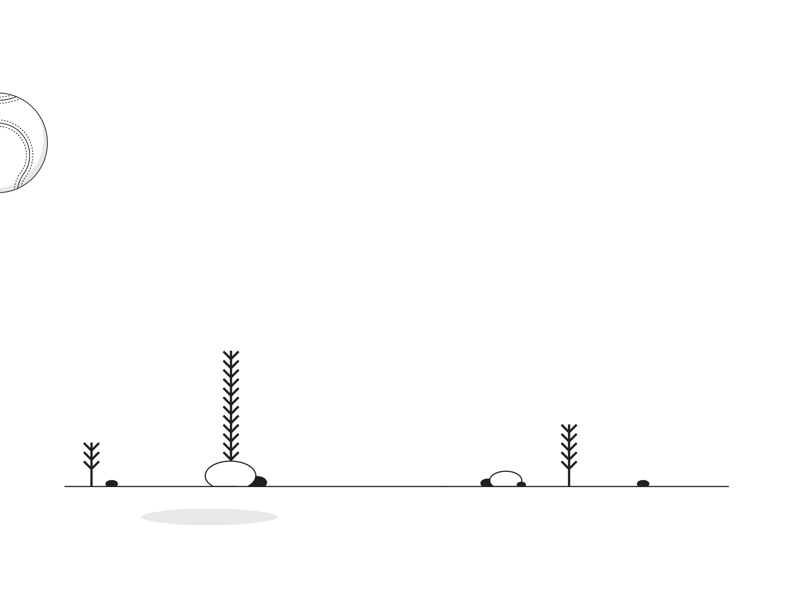bouncing ball adobe adobeillustrator ball black and white design design art designer flat gif gif animation graphic graphicdesign illustration illustrator motion graphic moving art photoshop vector visual art visual design