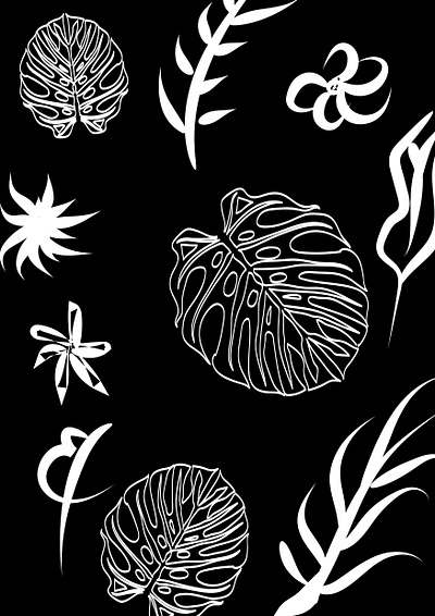 Leaves black white illustration nature wallpaper