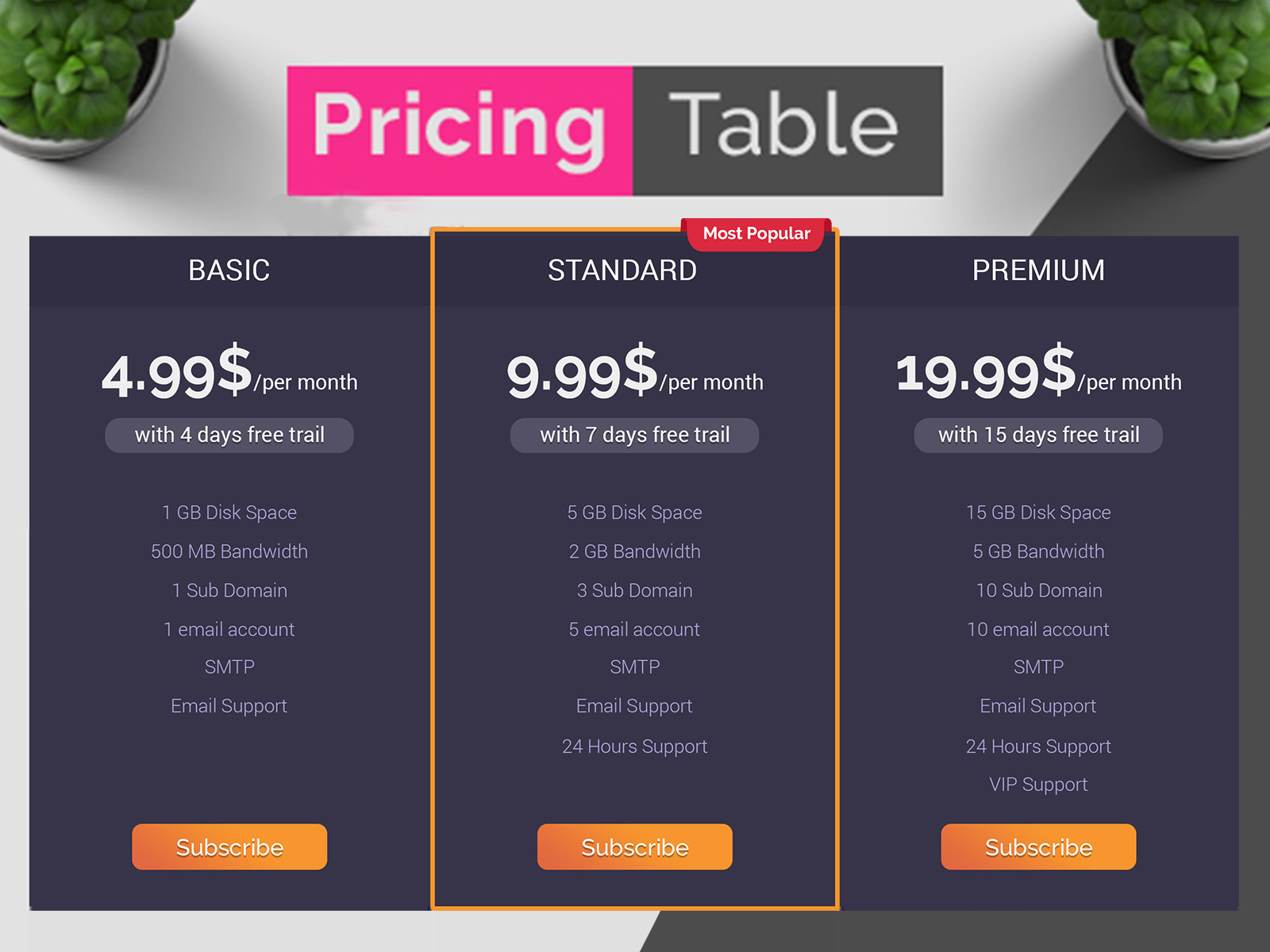 Example of Pricing Table | Pricing Chart Design