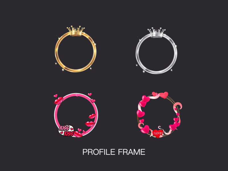 PROFILE FRAME