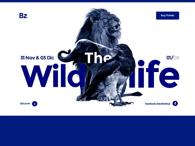 Visual exploration animals blue branding colorfull design eagle elefant exploration flat interaction interaction design interactive interface layout lion ui ux web webdesign