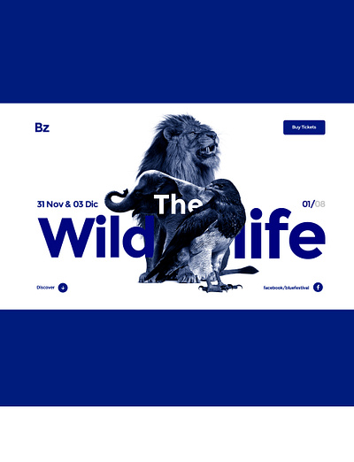 Visual exploration animals blue branding colorfull design eagle elefant exploration flat interaction interaction design interactive interface layout lion ui ux web webdesign