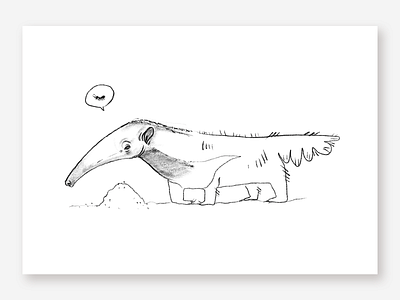 Anteater animal anteater art brasil hand drawn illustration pencil pencil sketch rough sketch simple sketch