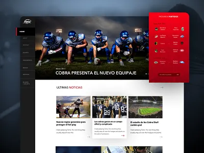 FEFA - Home page application ui blog card competitions design list rugby ui ux web website