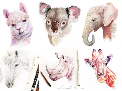 Watercolor animals. Koala, llama, elephant,rhino, giraffe... animal art animal portrait cute elephant giraffe hand painted horse illustration koala llama orange pet portrait rhino sketch sketchbook surface design torpical watercolor animal watercolor painting
