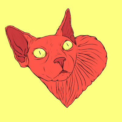 Heart Shaped Cat 2d color digital illustration lowbrow lowbrowart pierre gombaud tattoo tattoo art