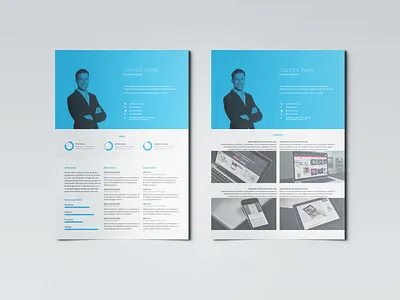 Professional Resume Template adobe indesign indesign template resume design resume template