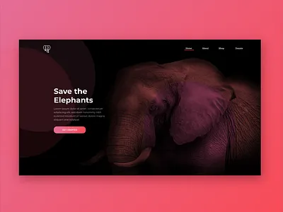 Save the Elephants cause color darktheme darkui design elephant gradient gradientmap gradients graphicdesign help landingpage photoshop ui uidesign uiux ux ux design webdesign website