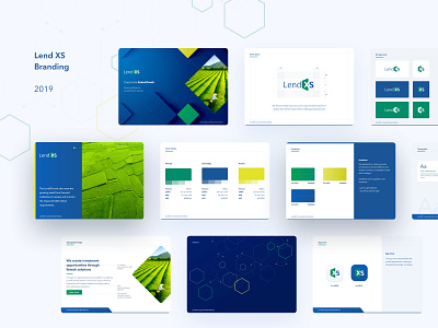 Finance fintech SaaS branding app brand book brand design branding business cards illustration logo typography ui vector web