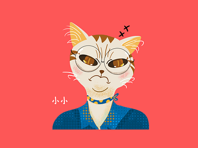 小小 cat 头像