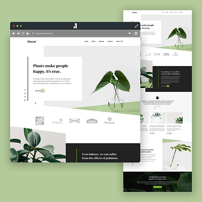 2019 Weekly Design #47/52 adobe xd business design health office plant plants ui uidesign uipractice web website