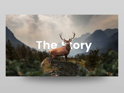 Deer Parallax in Torus Kit animation bootstrap css effect exploration forest html interaction javascript landing page parallax tilt torus kit ui web