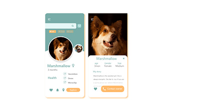 Pet adoption app adobe xd adobexd adopt adoption challenge daily dailyui dog mobile app pet ui ux xddailychallenge