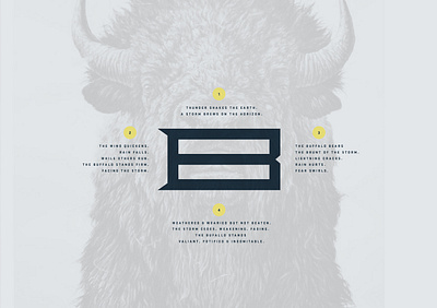 B Monogram brand design brand guidelines brand identity brand style guide branding branding agency branding concept buffalo graphic design logo monogram typography visual identity