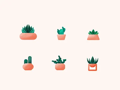 Succulents