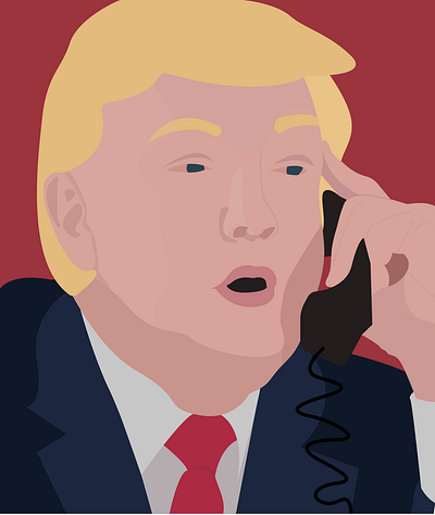 Donald Trump Portrait celebrity design illustration illustrator portrait portrait art portrait illustration vector