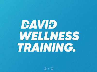 David Wellness Training | Logotype blue brand identity branding creative fitness logo flat graphic design gym logo identity logo logo design logo designer logotype mark personal trainer smart logo sports logo training typography wellness logo