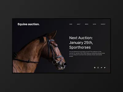 Horse Auction black clean clear daily dailyui design digital interface minimal ui uidesign userexperience userexperiencedesign userinterface userinterfacedesign ux uxdesign uxui web webdesign