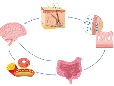 Popular science illustration - Food causes skin problems