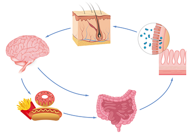 Popular science illustration - Food causes skin problems