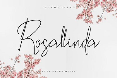 Rosallinda Script Font abc alphabet calligraphy design drawn font hand handwritten letter lettering script sign style symbol text type typeface typography vector vintage