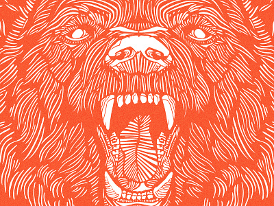 angry bear angry bear