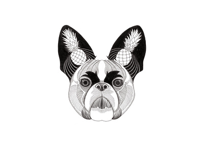 Chinese Zodiac Series | Year of the Dog animal black and white bulldog chinesezodiac design dog drawing graphic illustration ink pineapple zodiac