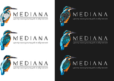 MEDIANA branding design illustration logo ui vector