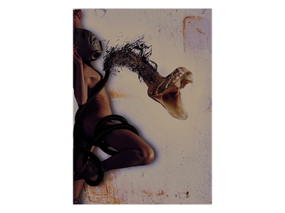 Dealyliquid2 collageart design photoshop