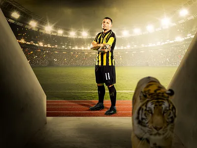 Ittihad Tiger Key Visual artwork concept creative photomanipulation photoshop post production retouching soccer tiger visual