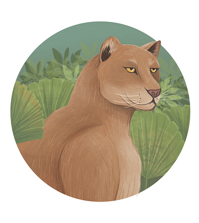 Puma animal animal illustration art cat charactedesign children art children book illustration drawing fauna feline illustration photoshop puma wilcat