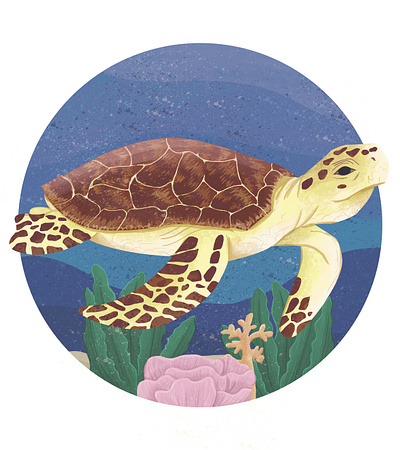 Turtle amazon animal art charactedesign children art children book illustration enviroment environment art illustration mar nature ocean ocean life oceans sea sea life seaweed tortoise tortuga turlte