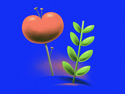 Flor Mapuche 02 animation art direction concept cover artwork cover design design flora floral art flower illustration