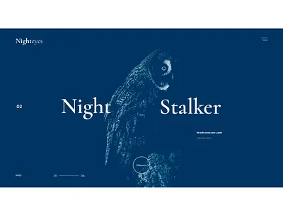Contrast test, silhouette and lighting. blue branding colorfull design flat interaction interface owl typography ui ux web webdesign zoo