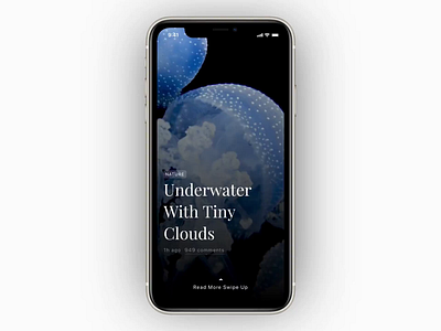 Blog Animation: Exploration 004 animation blog clean gif ios minimal mobile nature principle ui ux video