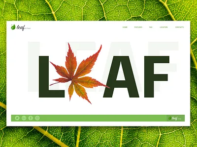 Web Design design ui web