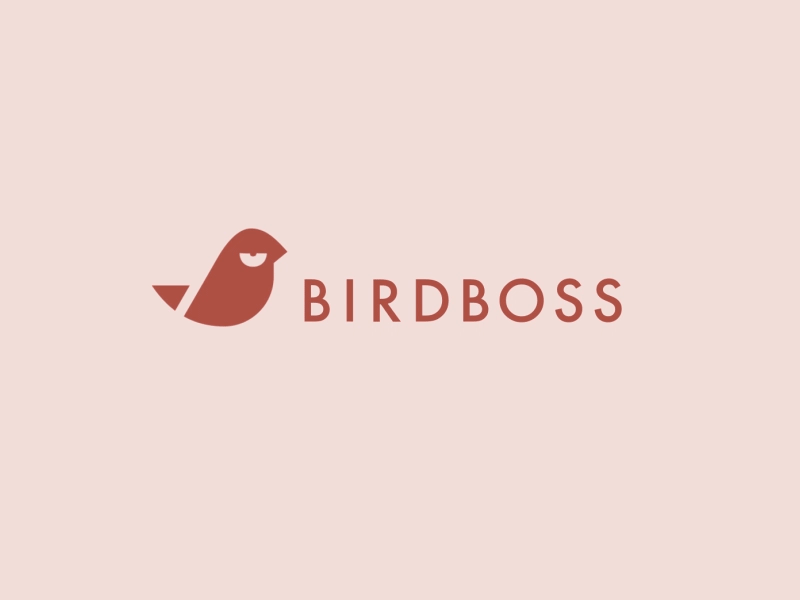 Example of Birdboss logo animation