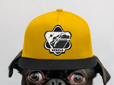 Mission patch / Dribbble Weekly Warm-Up adobeillustator branding cap design dog galaxy illustration patch pet pug rebel space spaceship star wars universe vector yellow