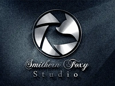 PHOTOGRAPHY LOGO branding business card business logo design fiverr graphic graphic design designer illustration logo logo design