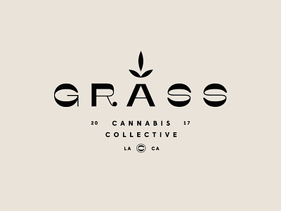 Grass Cannabis Collective brand branding cannabis cannabis logo cbd cbd logo grass logo logotype pot thc