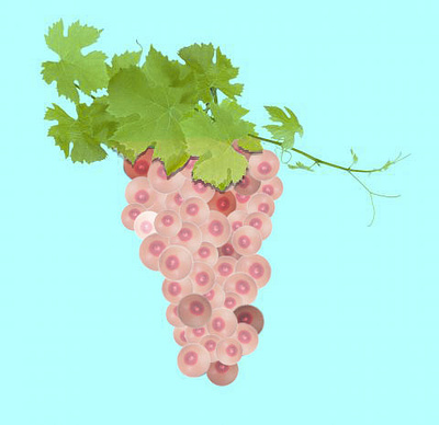 Grapes photoshop visual art visual concept visual design